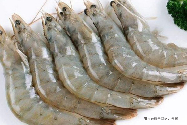 越南冷凍南美白對蝦進口報關資料到廣州南沙港案例