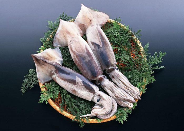 馬來西亞冷凍墨魚進口報關流程到廣州南沙港案例